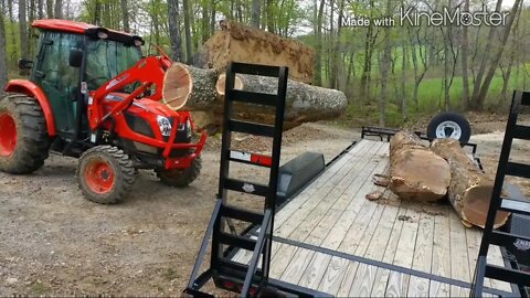 Friday night rewind-Kioti NX6010 loading half ton logs of red oak & new micro food plot clearing
