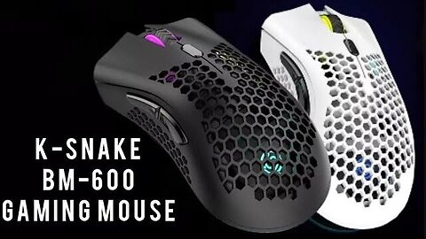 K-Snake BM-600 Black and White Rechargeable Wireless Gaming Mouse Unboxing and Preview