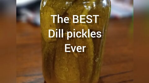 Our Favorite Dill pickles. How to make them and preserve them. #foodsecurity #canningseason