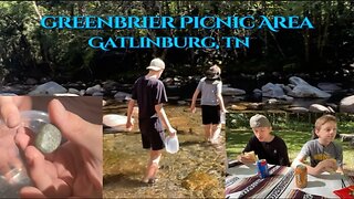 Greenbrier Picnic Area! Hidden Gem / Gatlinburg, TN #hiddengems #kidfriendly