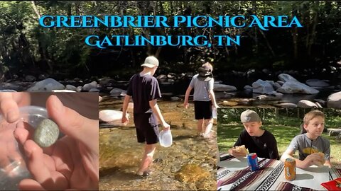 Greenbrier Picnic Area! Hidden Gem / Gatlinburg, TN #hiddengems #kidfriendly