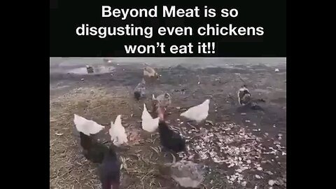 Beyond Meat is Not Food