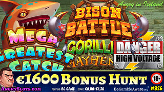 €1600 ONLINE SLOTS BONUS HUNT - Razor Shark, Wild Chapo, Rabbit Garden & more