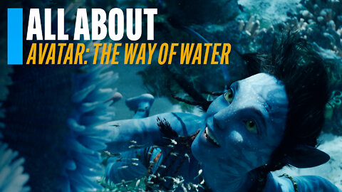 All About 'Avatar: The Way of Water'