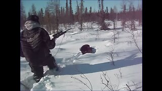 Trapping-Canada Wild North -Wolverine Hunt