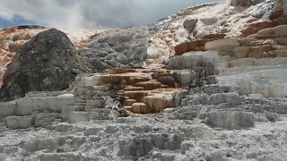 Mammoth Hot spring area Yellowstone