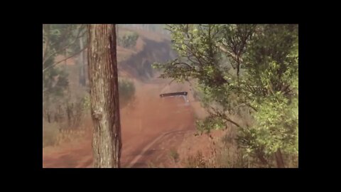 DiRT Rally 2 - Replay - Peugeot 205 Turbo 16 Evo 2 at Chandlers Creek Reverse