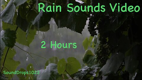 2-Hour Rain Meditation: Extended Calmness