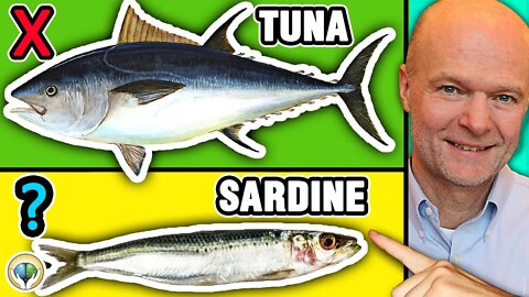 Top 5 Best Fish You Should NEVER Eat & 5 Fish You Must Eat