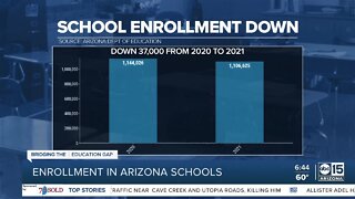 Enrollment in Arizona schools