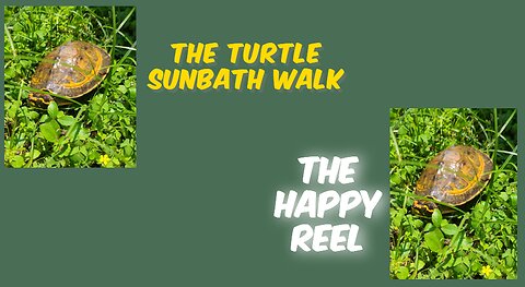 The Turtle Happy Reel