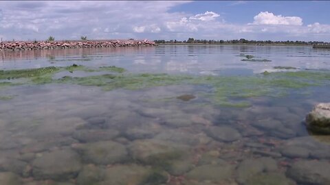 Toxic algae bloom threatens to shut down water sports, beach at popular Windsor Lake in northern Colorado