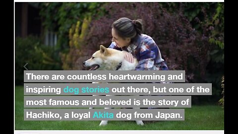 Hachiko, The Loyal Dog.