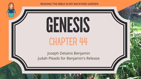 Genesis Chapter 44 | NRSV Bible Reading