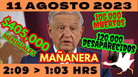 💩🐣👶 AMLITO | Mañanera *Viernes 11 de Agosto 2023* | El gansito veloz 2:09 a 1:03.