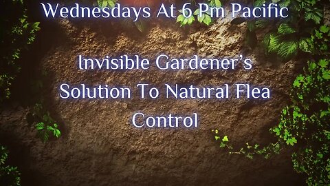 Invisible Gardener’s Solution To Natural Flea Control