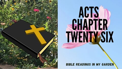 ACTS Chapter 26 | NRSV Bible