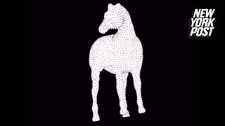 Which way is the horse spinning? This optical illusion will make you dizzy