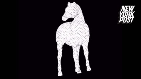 Which way is the horse spinning? This optical illusion will make you dizzy