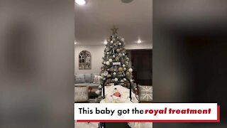 'Lion King'-themed baby shower goes viral on TikTok