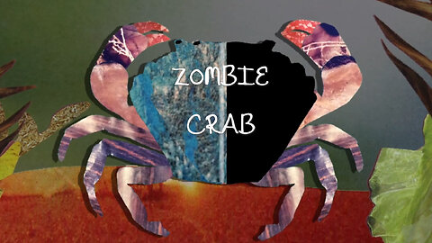 The Crab Castrating Zombifying Parasite – (modified host behaviour)