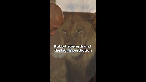 Rabbit Strength and the Lion's Prediction