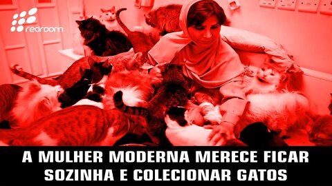 A MULHER MODERNA MERECE FICAR SOZINHA E COLECIONAR GATOS (RACCOONING RACCOON)