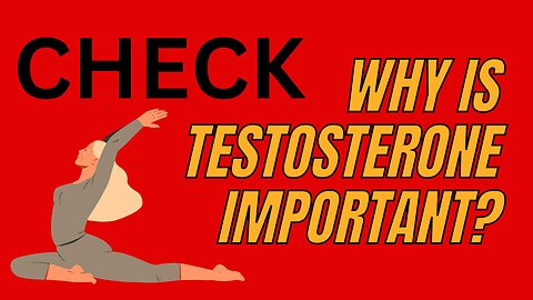 Why Is Testosterone Important?