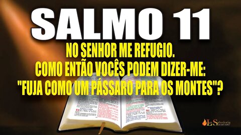 Livro dos Salmos da Bíblia: Salmo 11