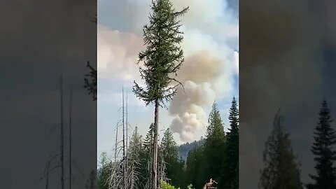 The Consalus Fire in the Idaho Panhandle National Forest.