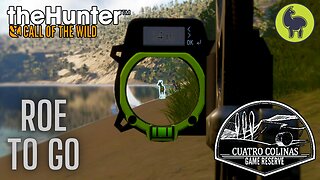 Roe to Go, Cuatro Colinas | theHunter: Call of the Wild (PS5 4K)