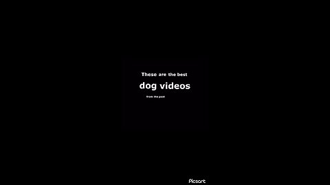 Funniest dog videos ever