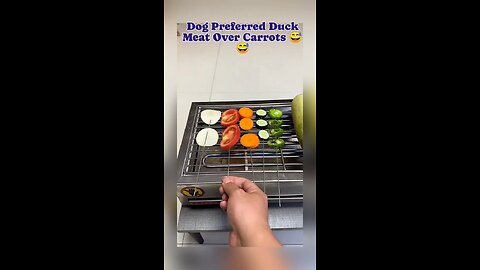 dog want to eat duck meat over carrots