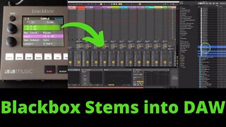 1010Music Blackbox - How to get stems into your DAW