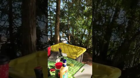 Dinner time #camping #SugarLake #BritishColumbia #Canada