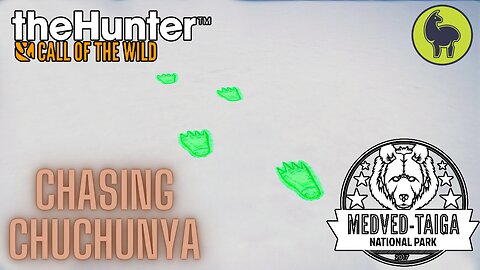 Chasing Chuchunya, Medved Taiga | theHunter: Call of the Wild (PS5 4K)