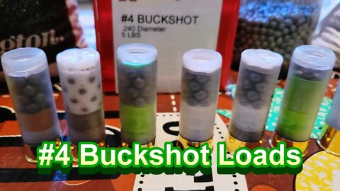 2.75 inch #4 Buckshot Hunting Rounds. What are the Possibilities?