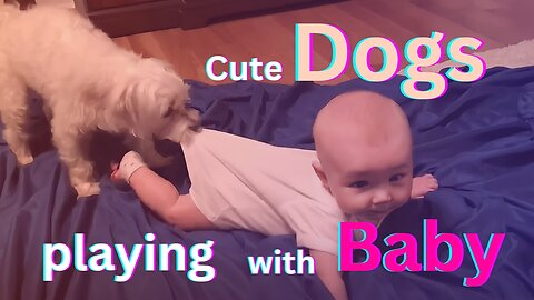 Cute baby playing with dogs | Cute dogs, pets, cute animals.