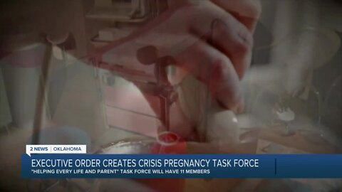 Executive order creates pregnancy task force