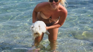 Puppy eager for ocean air swims above water