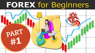 Forex Trading Journey for Beginners Part 1:Trading Basics: Before you Start Forex