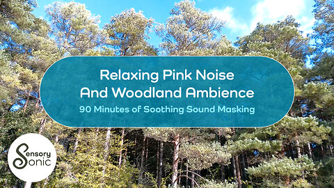 Relaxing Pink Noise and Woodland Ambience | 90 Minutes | Soothing Noise Masking | Sleep & Relaxation
