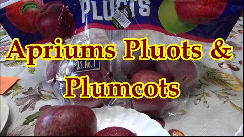 Apriums Plumcots Apriplums and Whatever