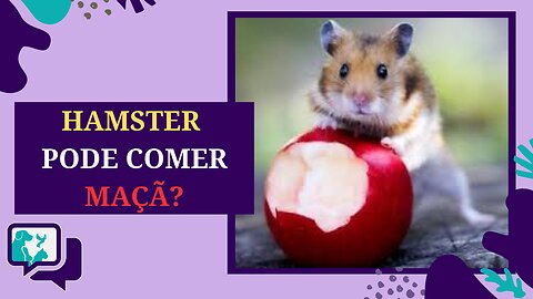 Hamsters e Maçãs: Uma Combinação Saudável ou Perigosa?