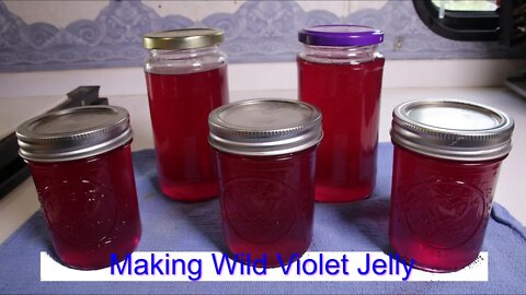 Making Wild Violet Jelly with Recipe