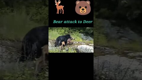 Bear attack to Deer 🦌#shorts #youtubeshorts #shortvideo