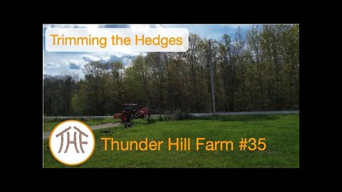 Thunder Hill Farm #35 - Trimming the bushes...
