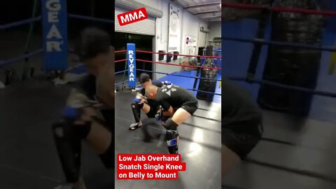 MMA - Jab Overhand Snatch Single to Knee on Belly and Mount CSW 101