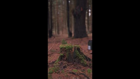 Learn How To Safely Boil Water In The Wilderness