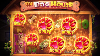 RARE 6 SCATTER BONUS ON DOG HOUSE MEGAWAYS! (INSANE)